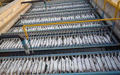 濰坊某污水處理有限公司 RMB膜日處